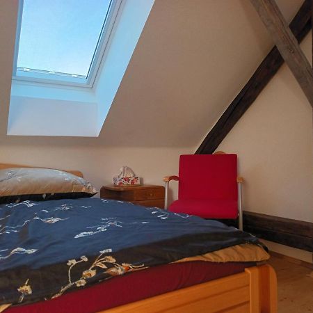 Za Vodou Guest House Moravská Nová Ves Екстериор снимка