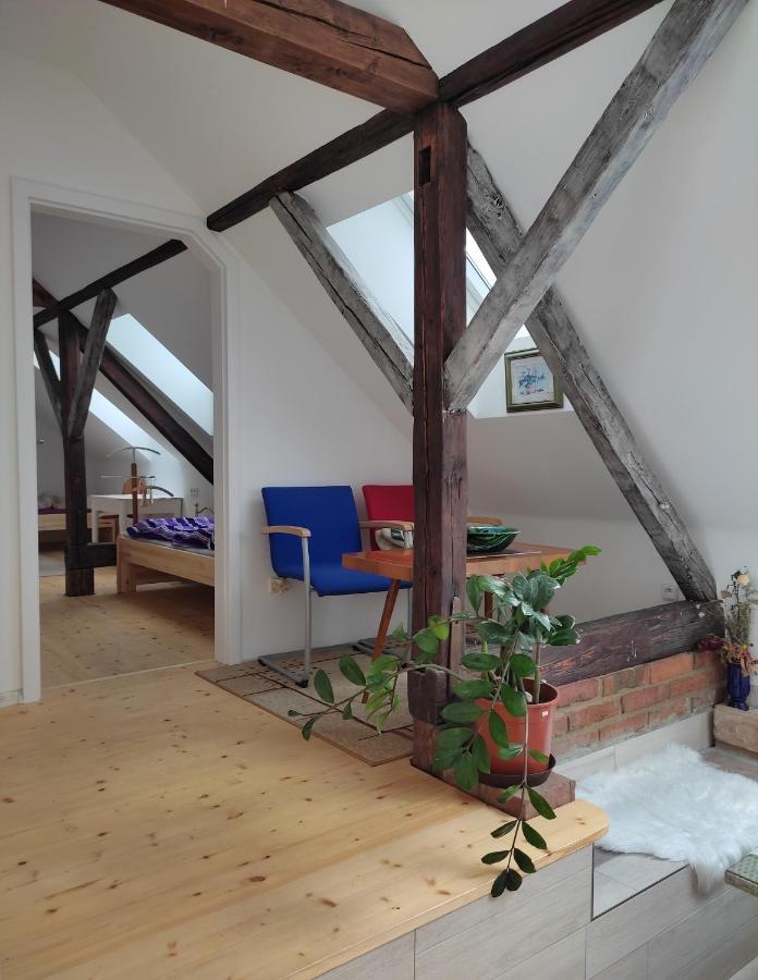 Za Vodou Guest House Moravská Nová Ves Екстериор снимка