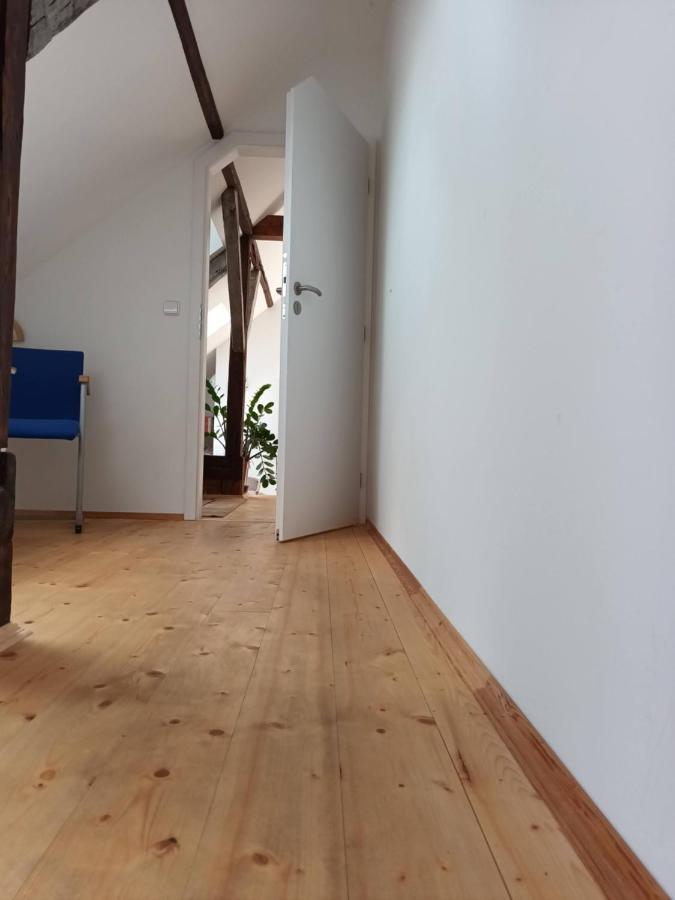 Za Vodou Guest House Moravská Nová Ves Екстериор снимка