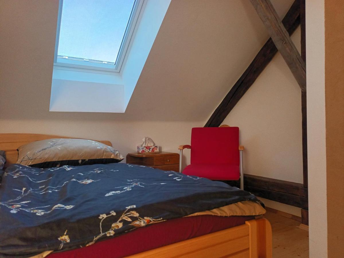 Za Vodou Guest House Moravská Nová Ves Екстериор снимка