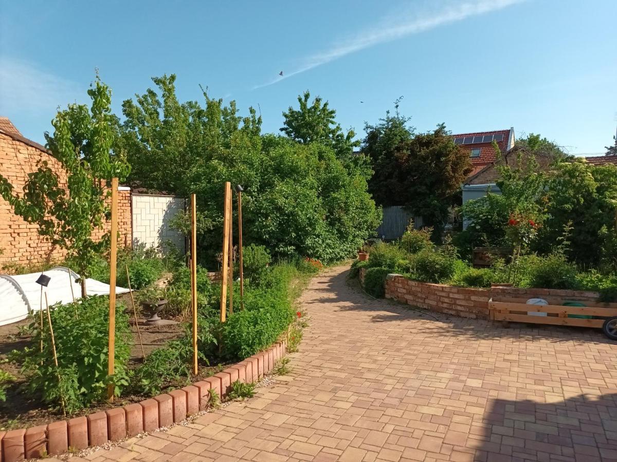 Za Vodou Guest House Moravská Nová Ves Екстериор снимка