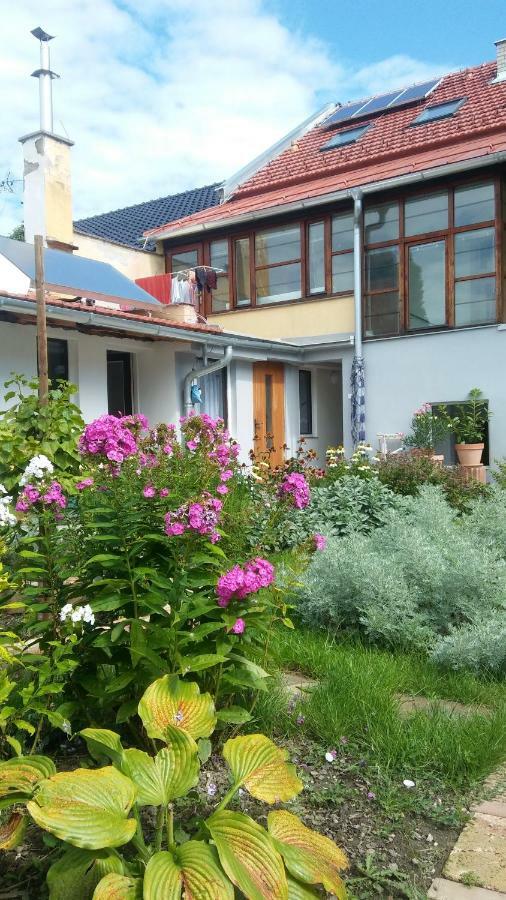 Za Vodou Guest House Moravská Nová Ves Екстериор снимка