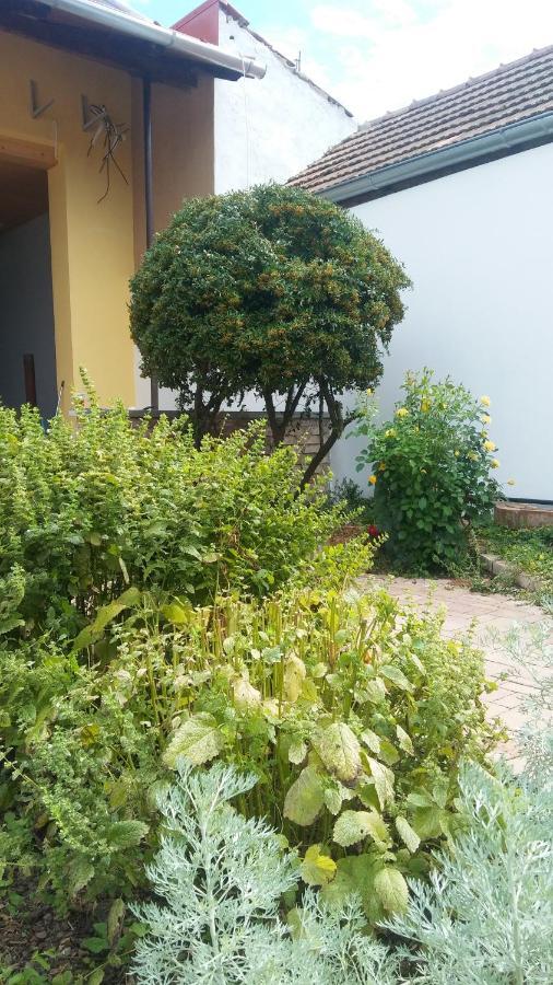 Za Vodou Guest House Moravská Nová Ves Екстериор снимка