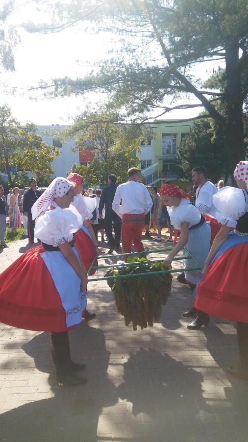 Za Vodou Guest House Moravská Nová Ves Екстериор снимка